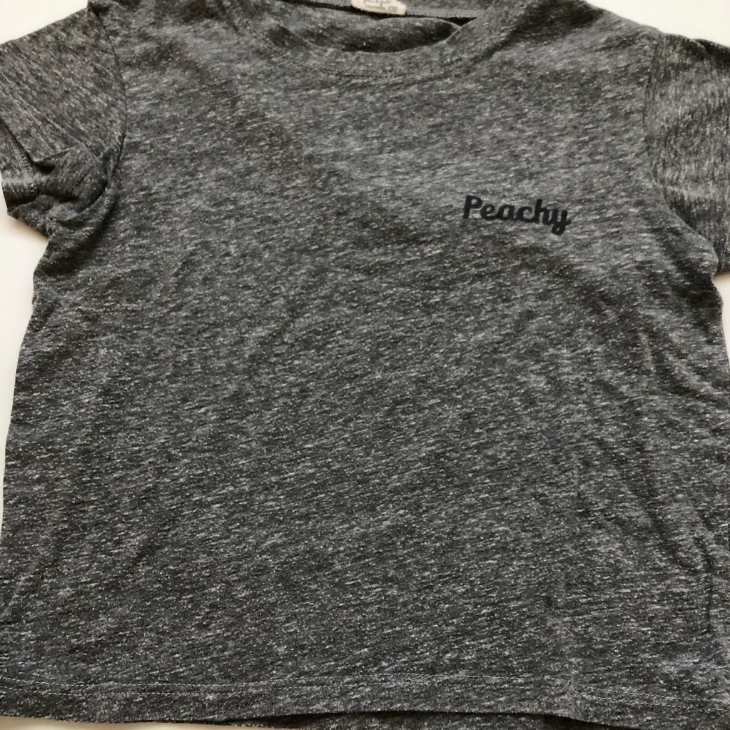 Brandy Melville Rare Vintage Peachy Crop Top